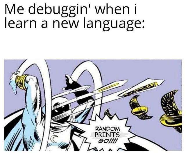 debugging a new language | javascript meme