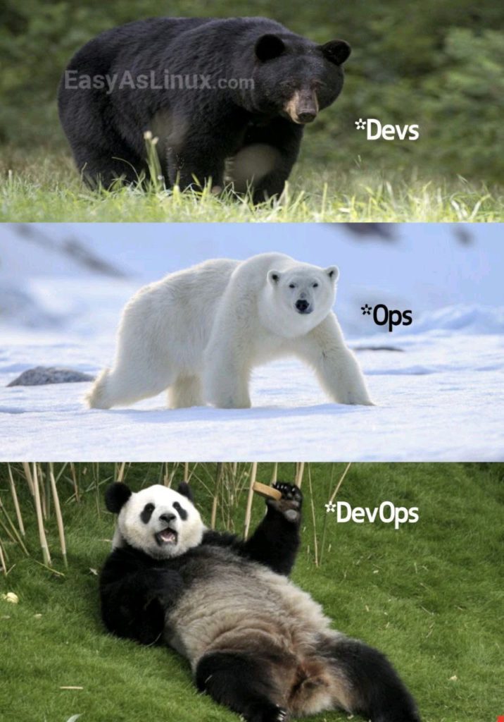 DevOps joke